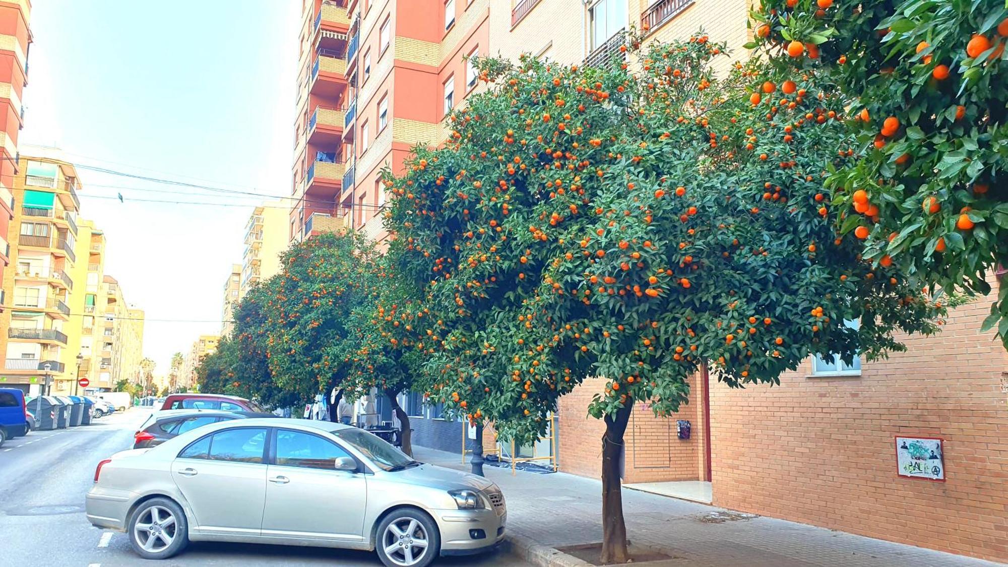 Appartamento Nuevo Costa Del Alma