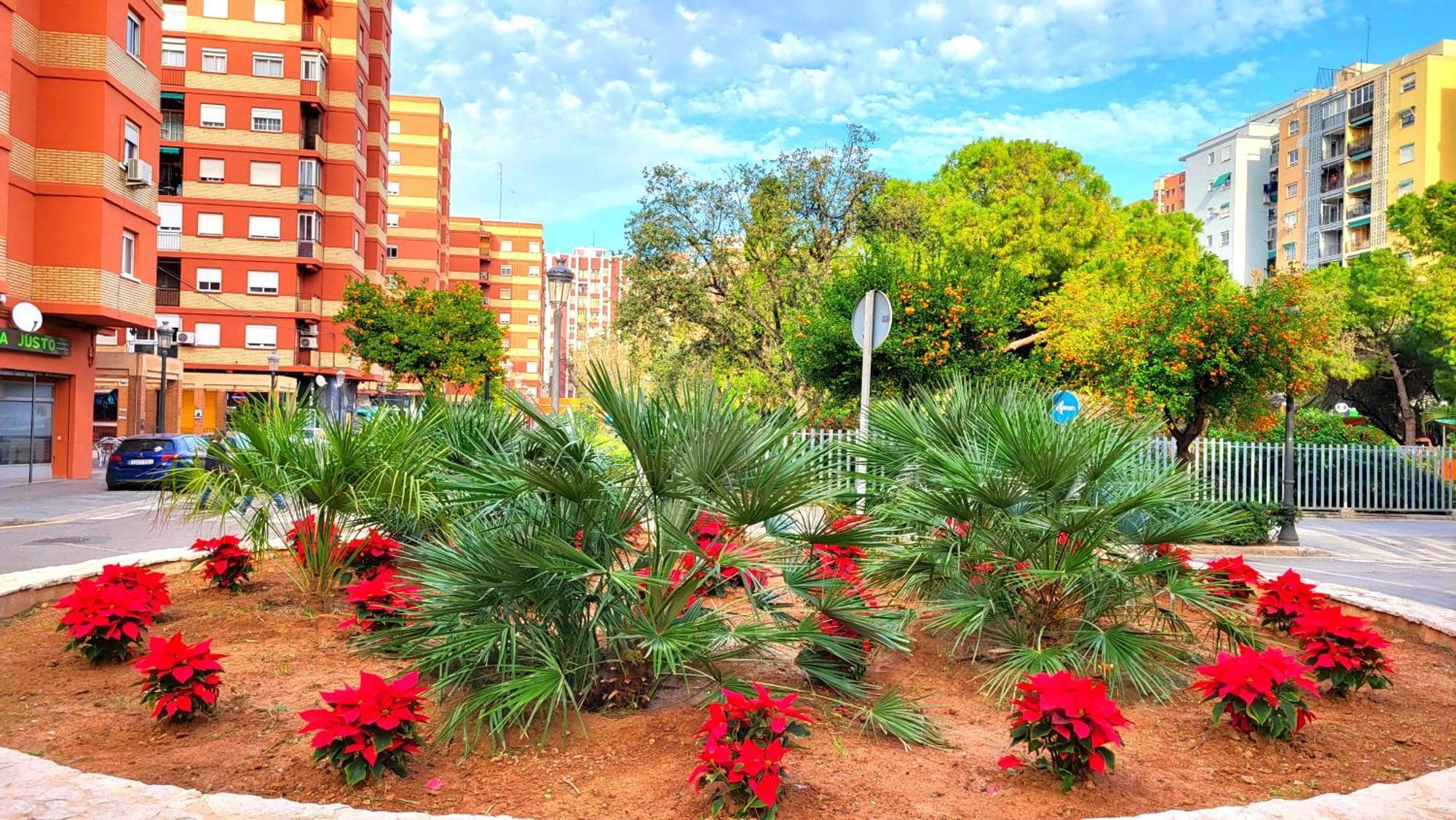 Nuevo Costa Del Alma Valenza